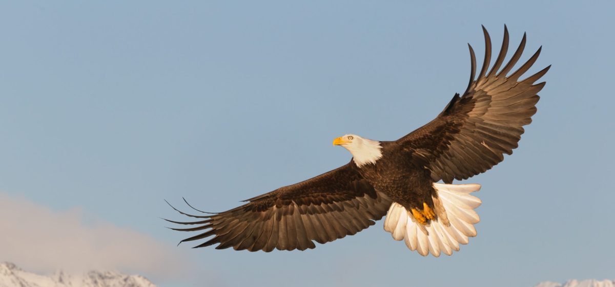 Sundoor Initiation Training Personal Development Course